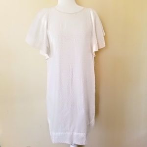 J CREW - White Cotton, Size 4, Sheath Dress